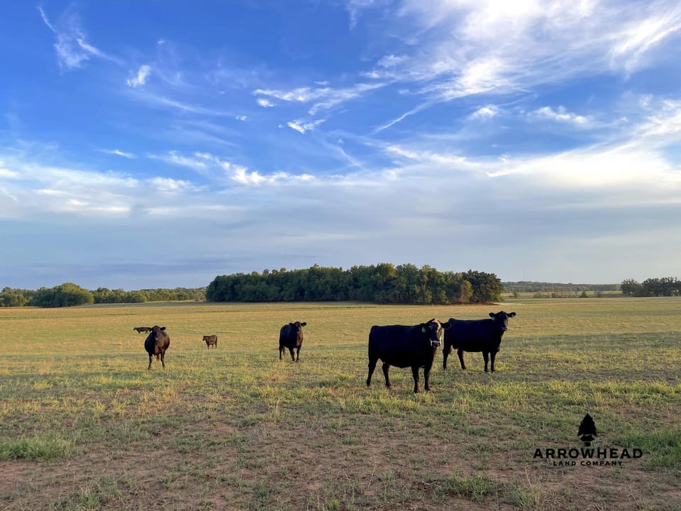 Beaver Creek Farm