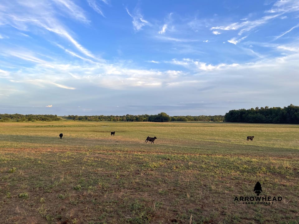 Beaver Creek Farm
