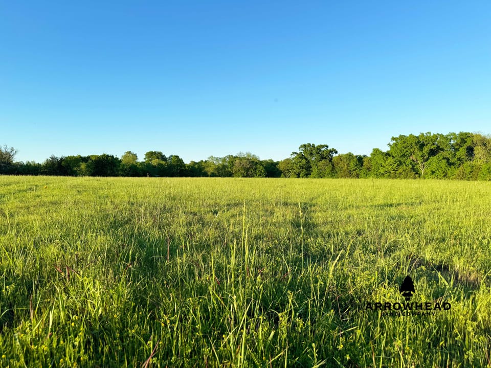 Barndo on River Bottom Acreage