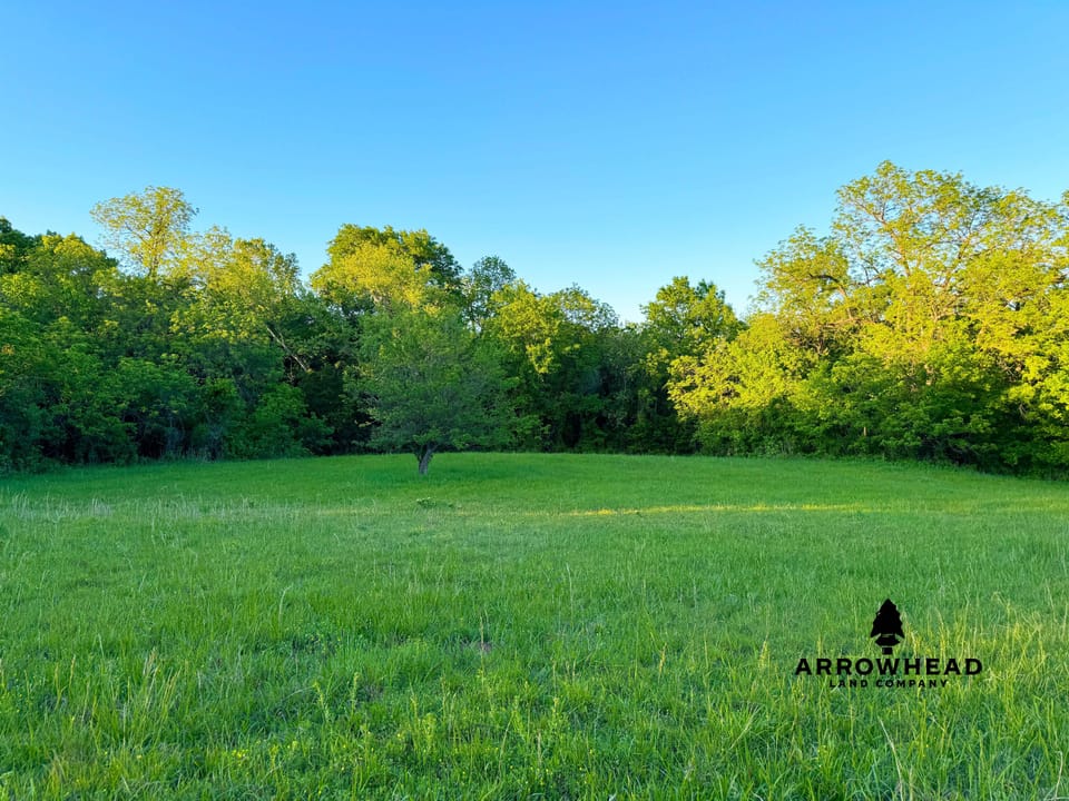Barndo on River Bottom Acreage