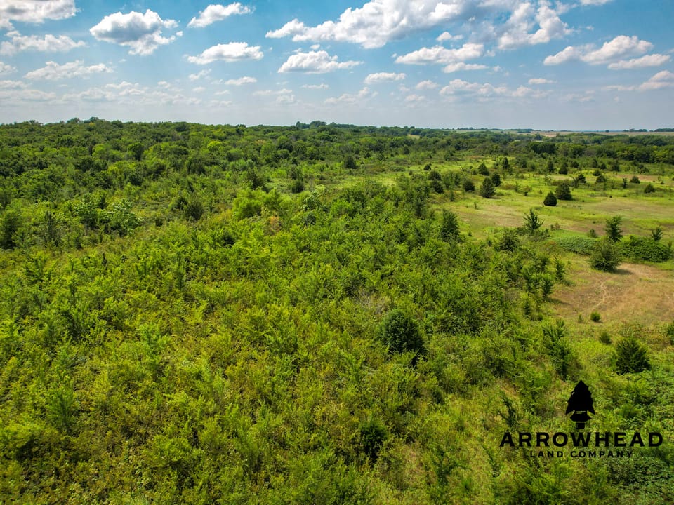 Wayside Creek Hunting Farm