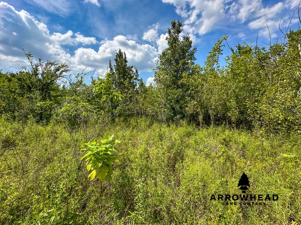 Wayside Creek Hunting Farm