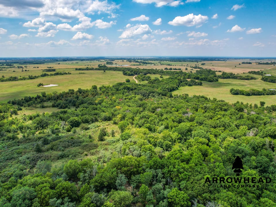 Wayside Creek Hunting Farm