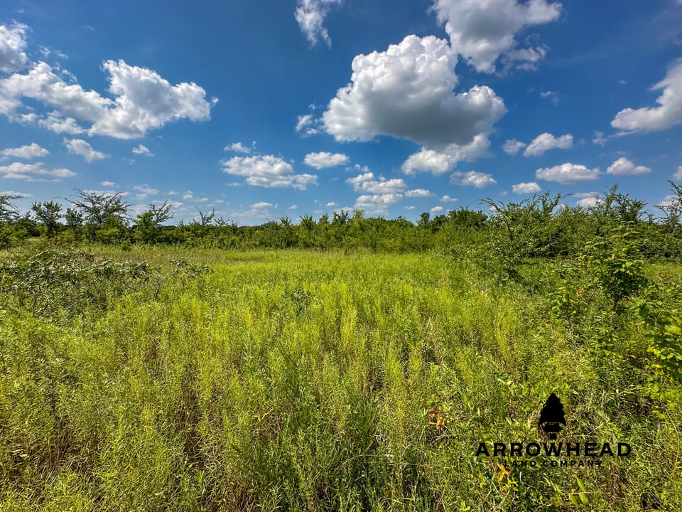Wayside Creek Hunting Farm