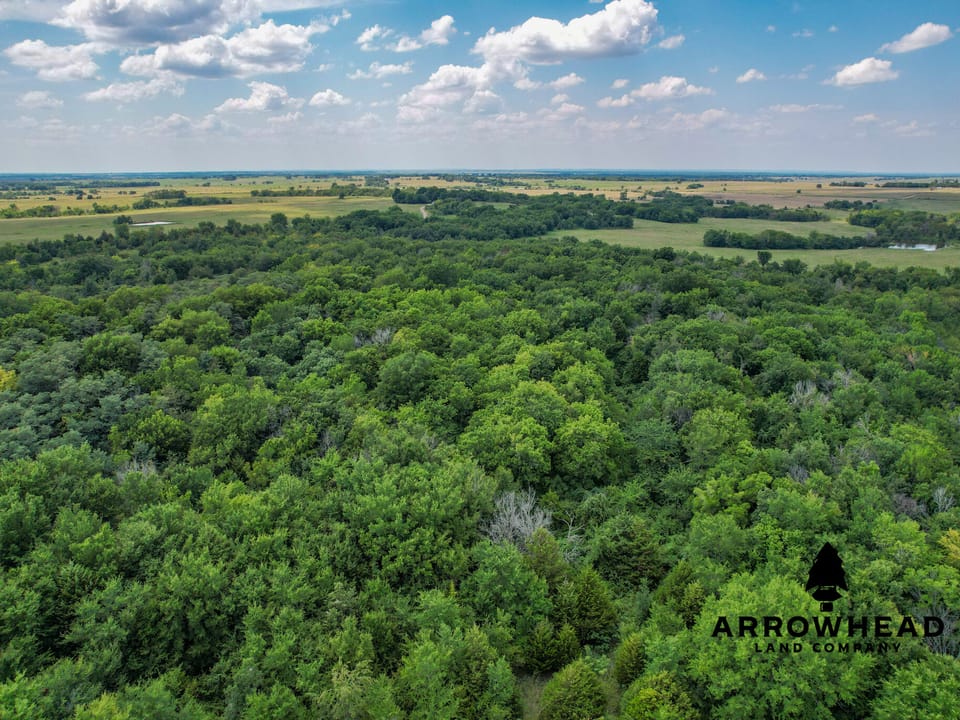 Wayside Creek Hunting Farm