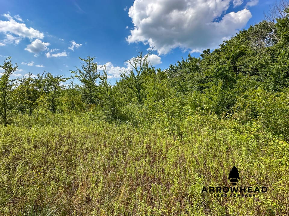 Wayside Creek Hunting Farm