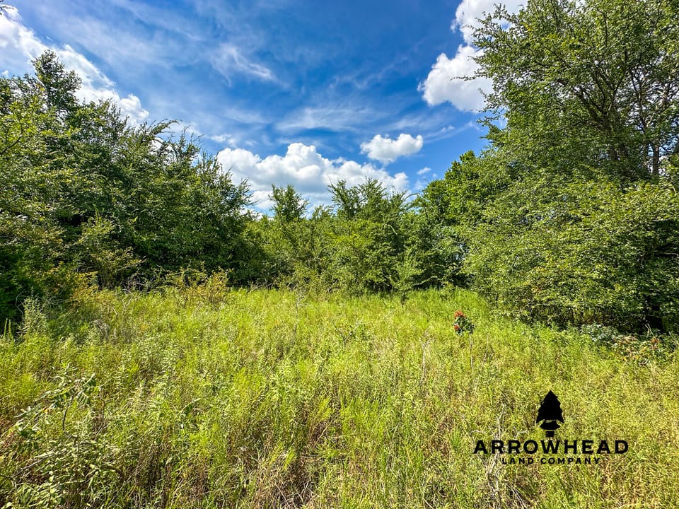 Wayside Creek Hunting Farm