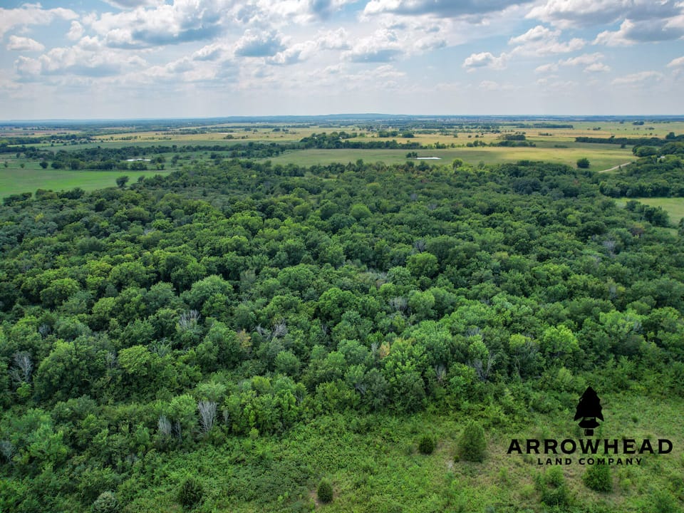 Wayside Creek Hunting Farm
