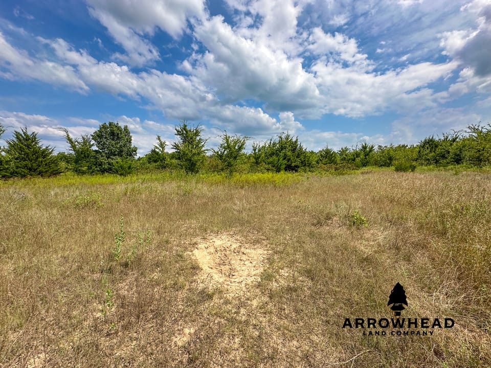 Wayside Creek Hunting Farm