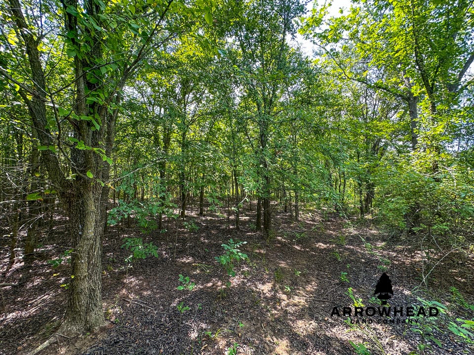 Wayside Creek Hunting Farm