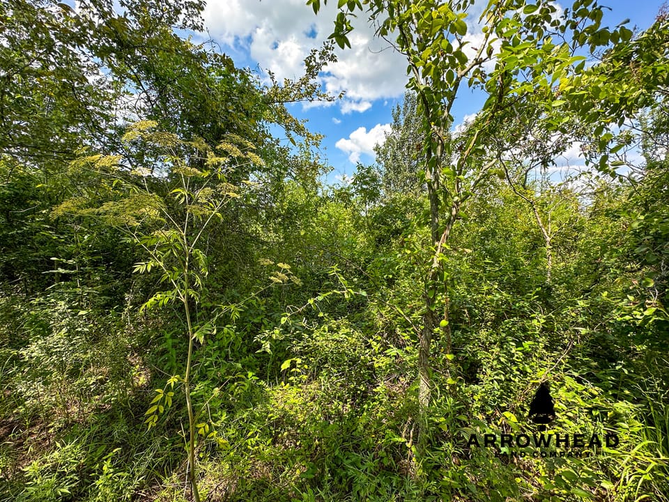 Wayside Creek Hunting Farm