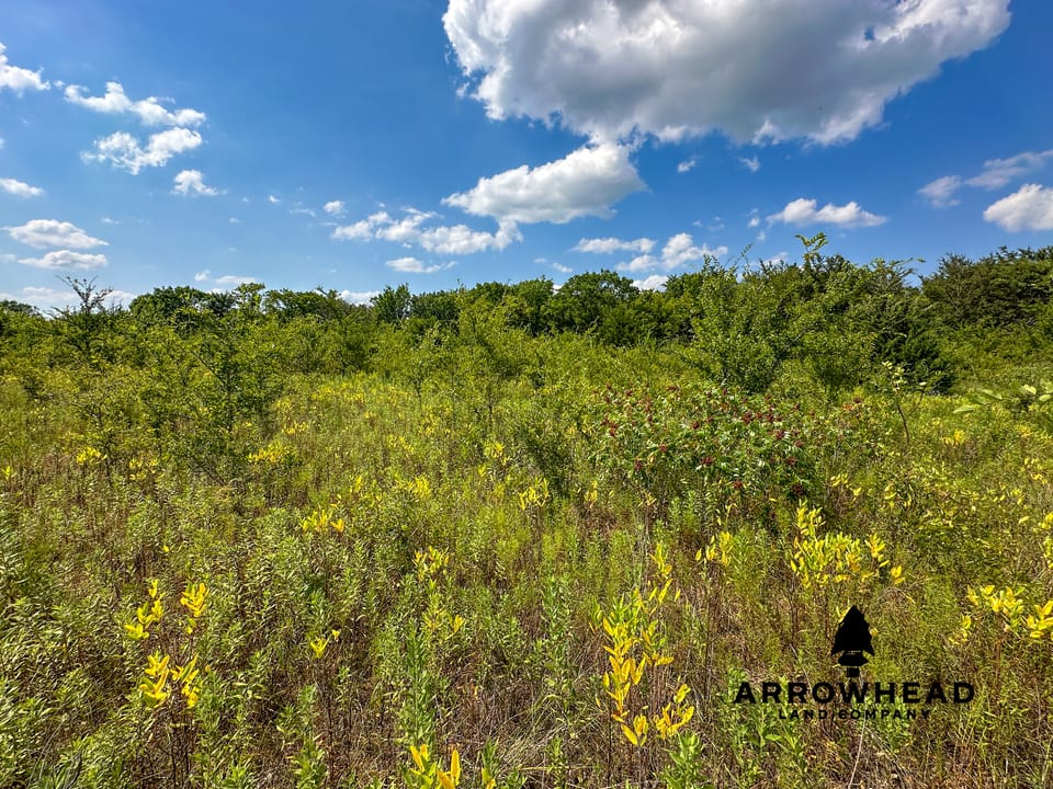 Wayside Creek Hunting Farm