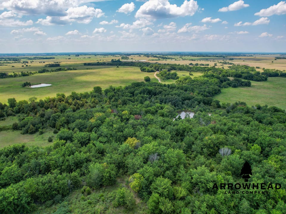 Wayside Creek Hunting Farm
