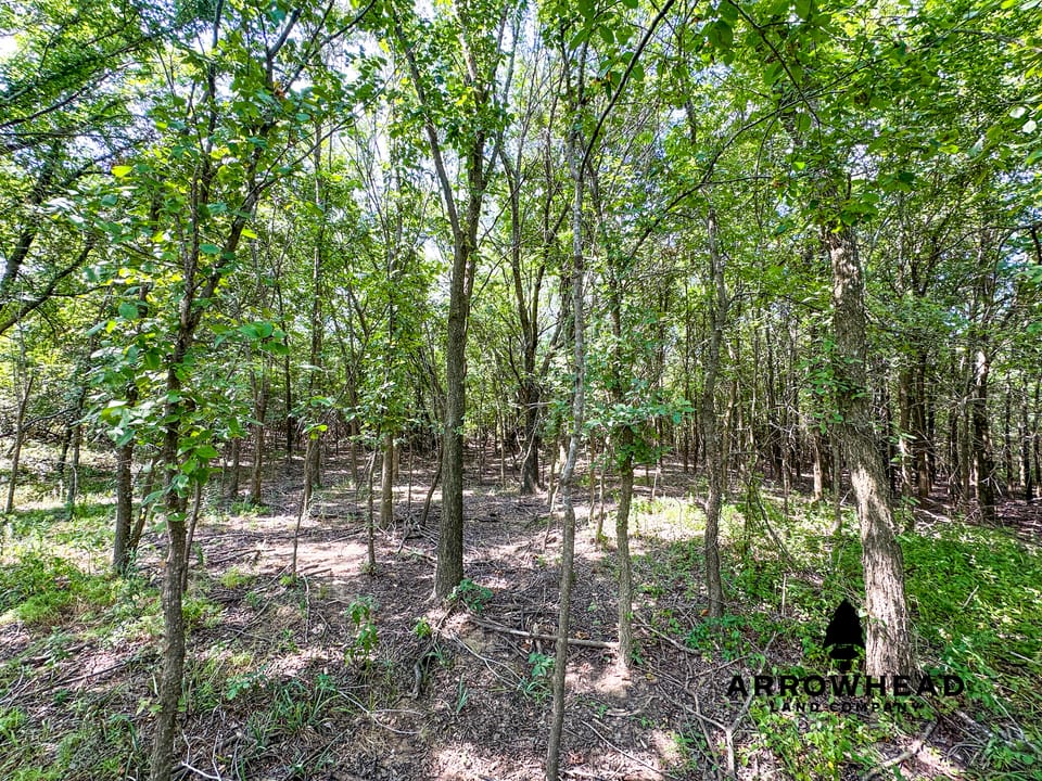 Wayside Creek Hunting Farm