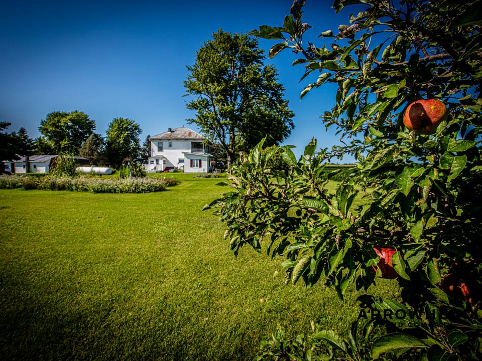 Timeless Treasure Country Home