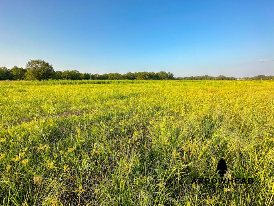 Farmland Outside of Dewey