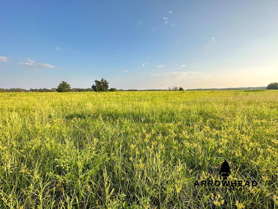 Farmland Outside of Dewey