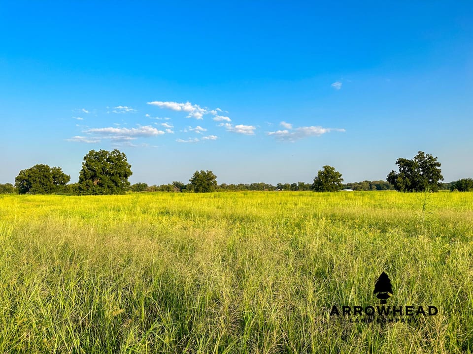 Farmland Outside of Dewey