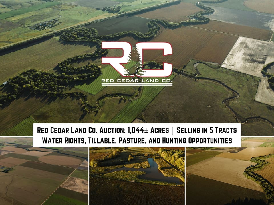 Codyc Auction 112026 Compilation