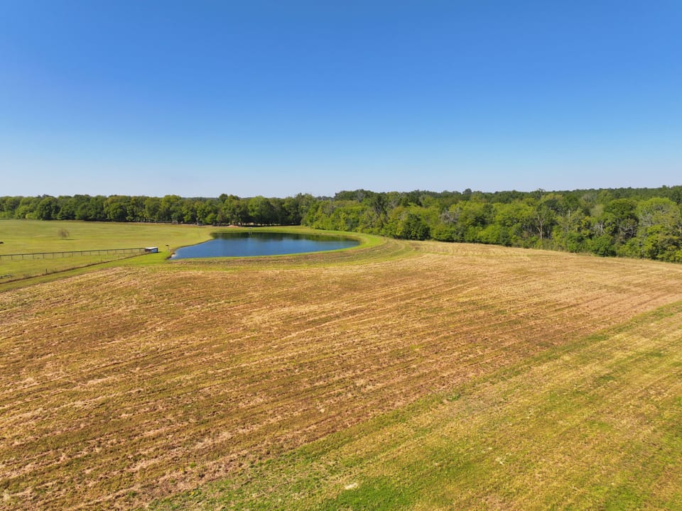 Dji 20261005192810 0447 D Jpg