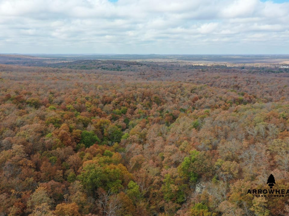 Oak Timber Paradise