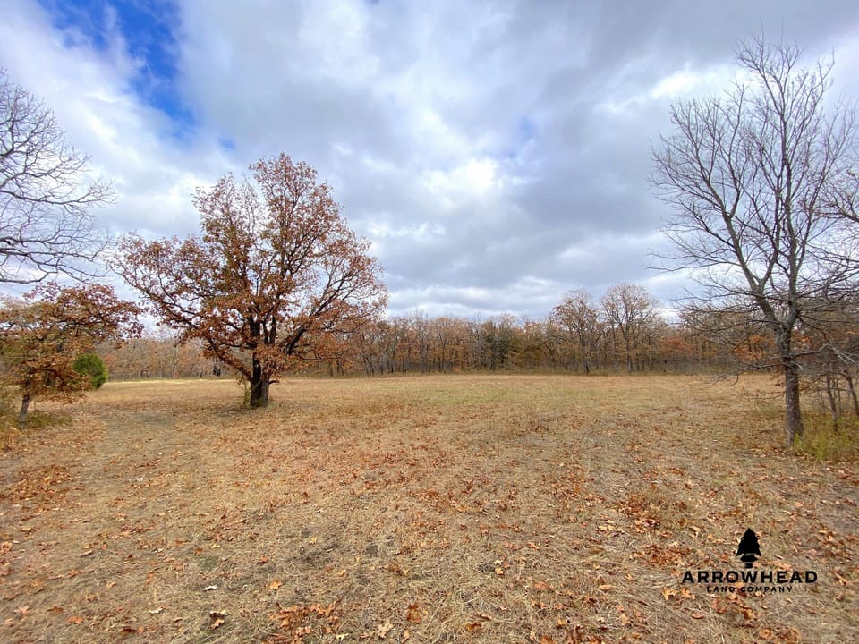 Oak Timber Paradise