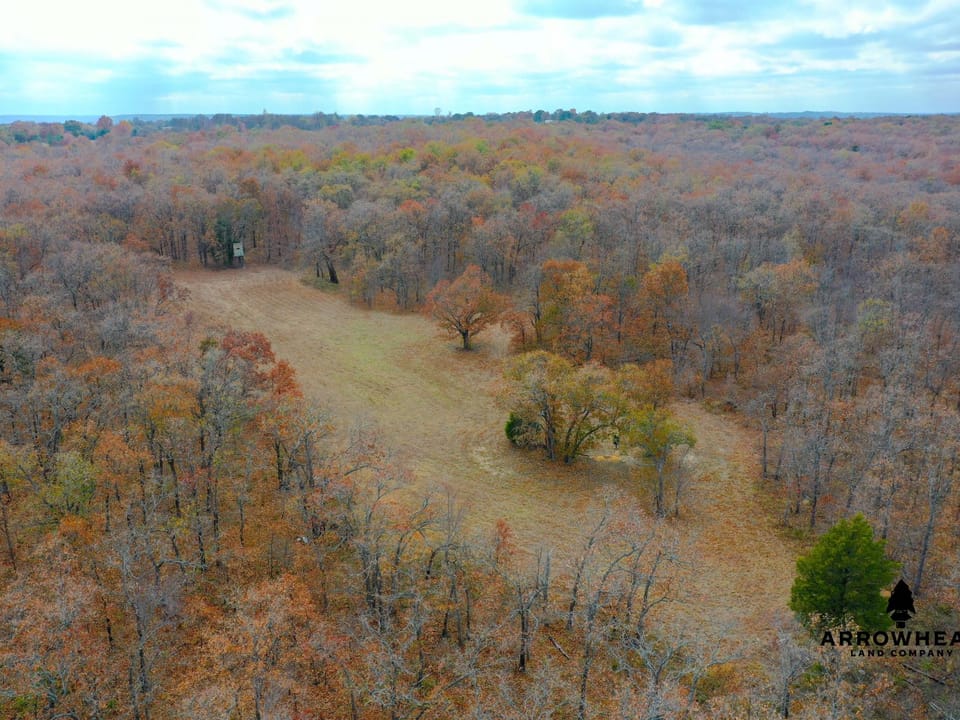 Oak Timber Paradise