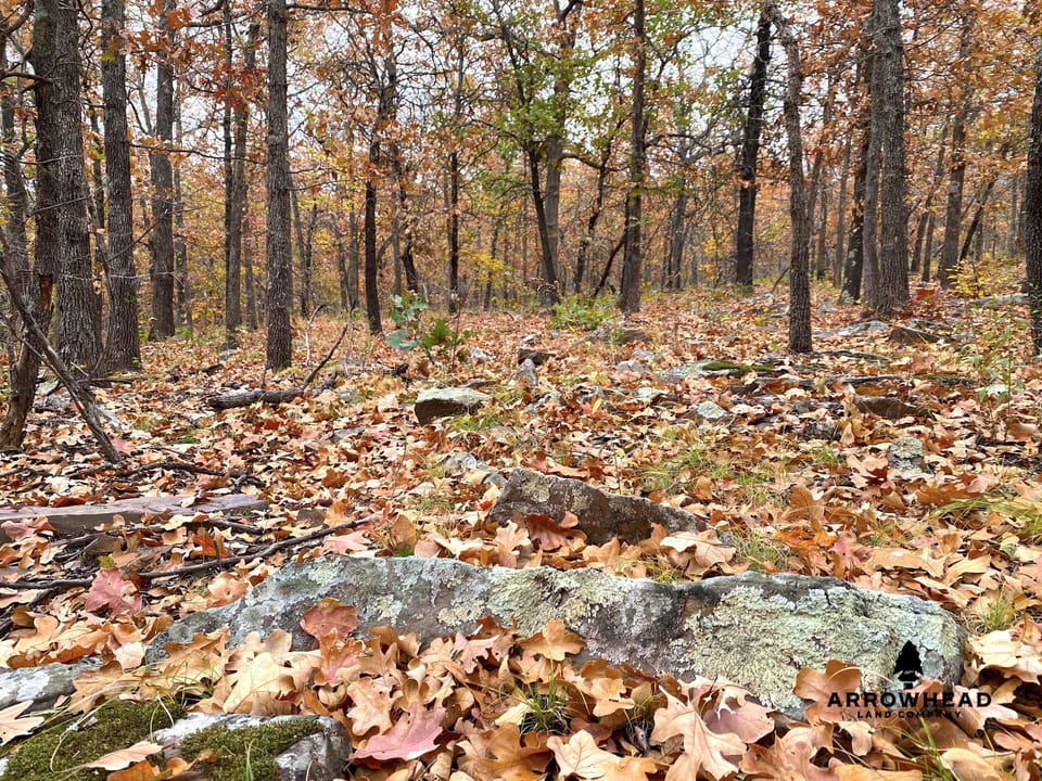Oak Timber Paradise