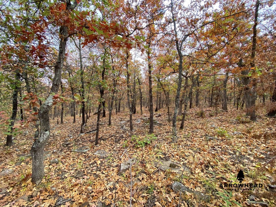 Oak Timber Paradise