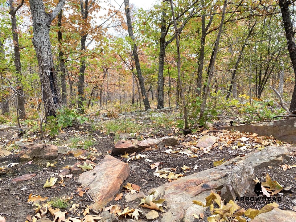 Oak Timber Paradise
