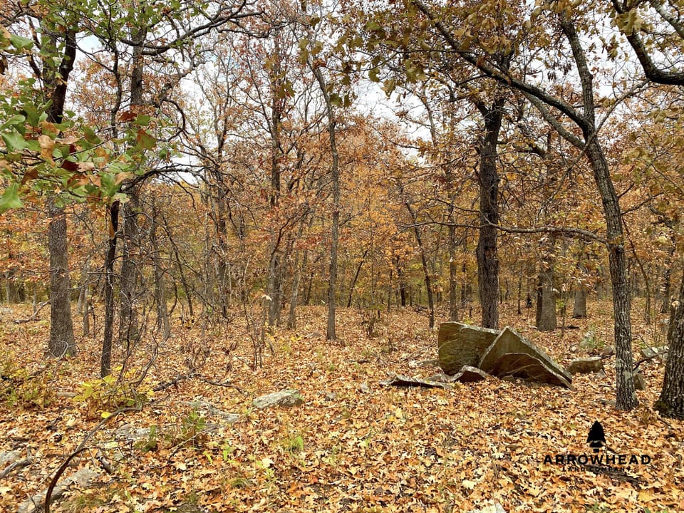 Oak Timber Paradise