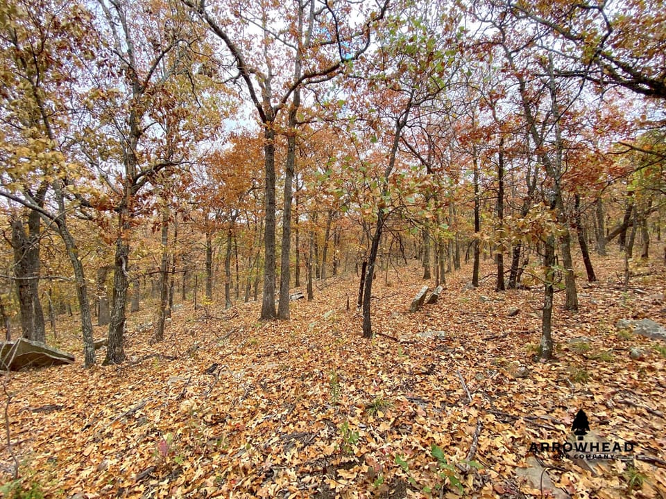 Oak Timber Paradise