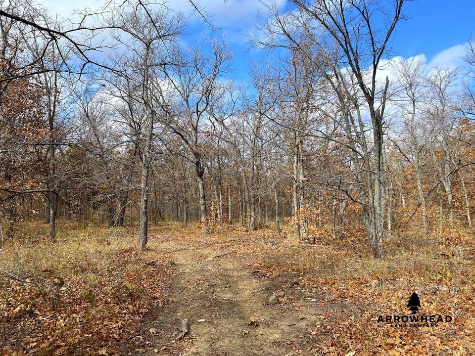 Oak Timber Paradise