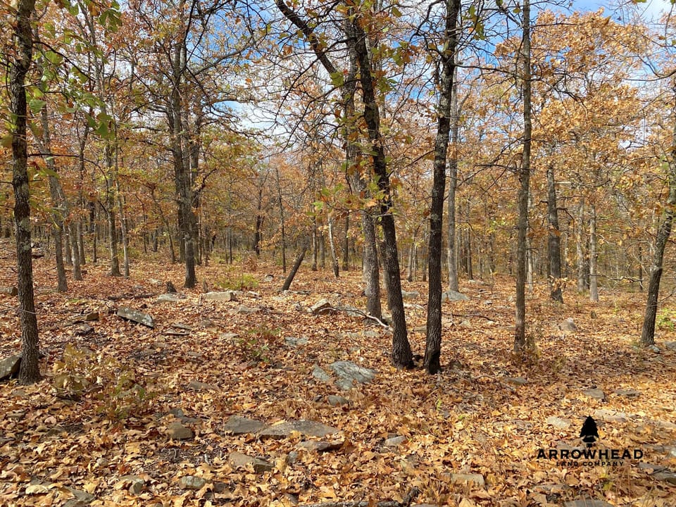 Oak Timber Paradise