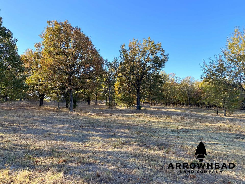 Eufaula Lake View Home