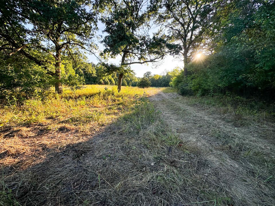 036