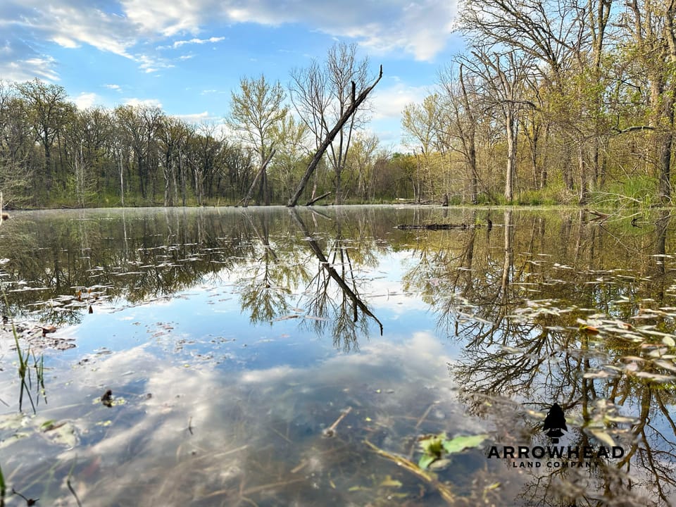 Dual-Pond Whitetail Farm