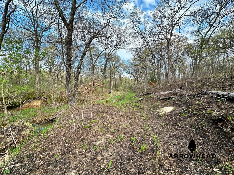Dual-Pond Whitetail Farm