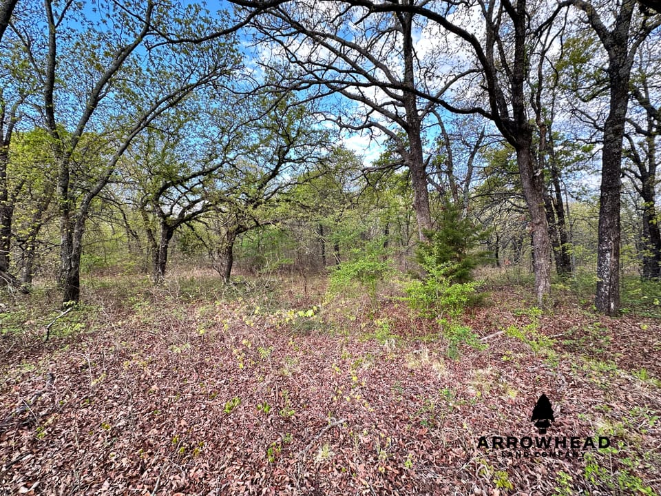 Dual-Pond Whitetail Farm