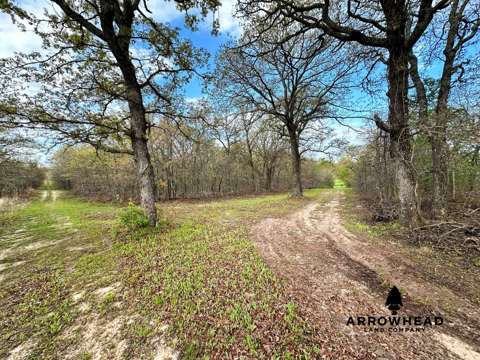 Dual-Pond Whitetail Farm