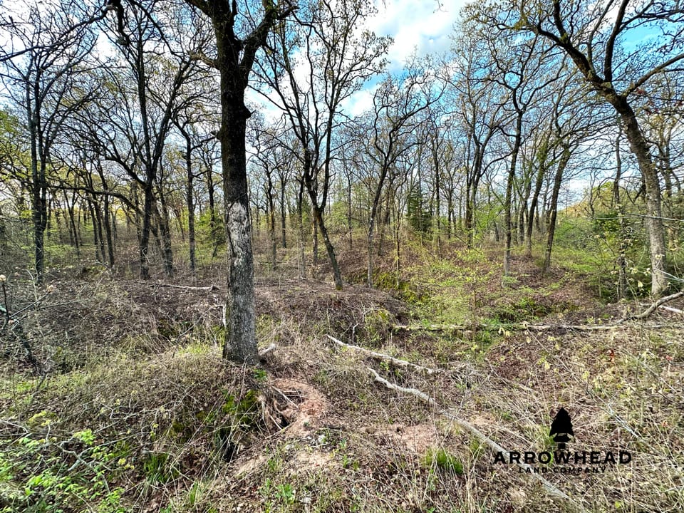 Dual-Pond Whitetail Farm
