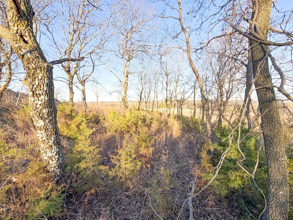 Img 7819