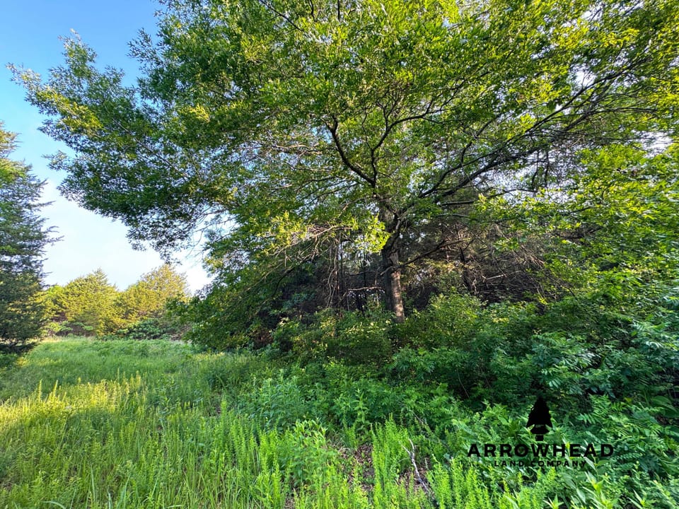 Hellroaring Creek Farm
