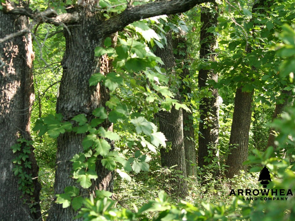 Keystone Lake Hunting Farm