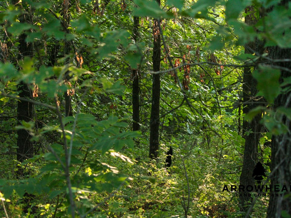 Keystone Lake Hunting Farm