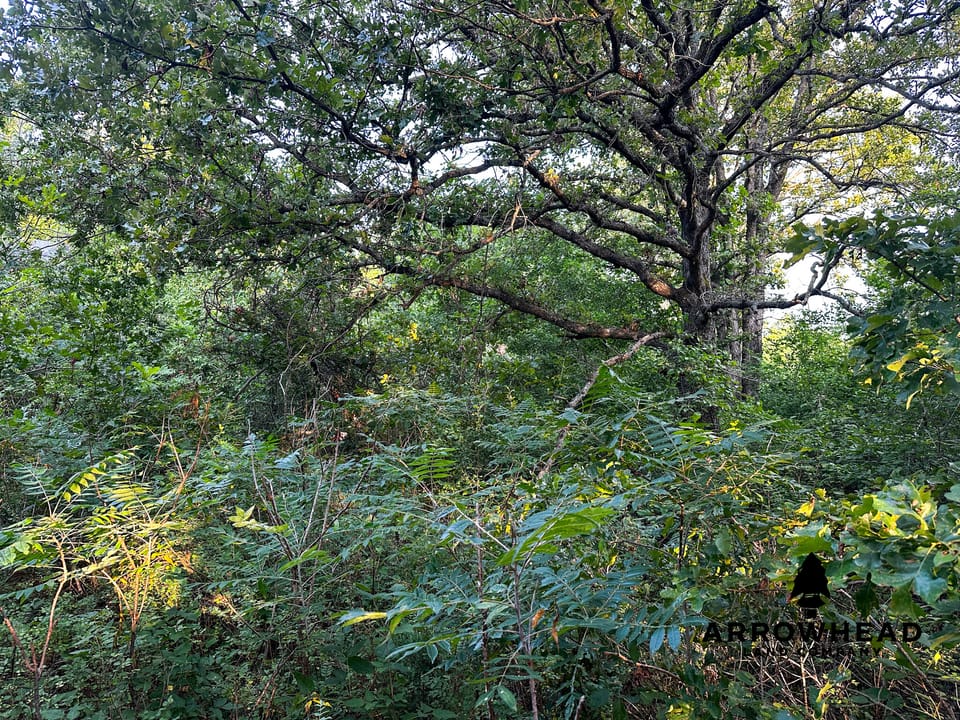 Keystone Lake Hunting Farm