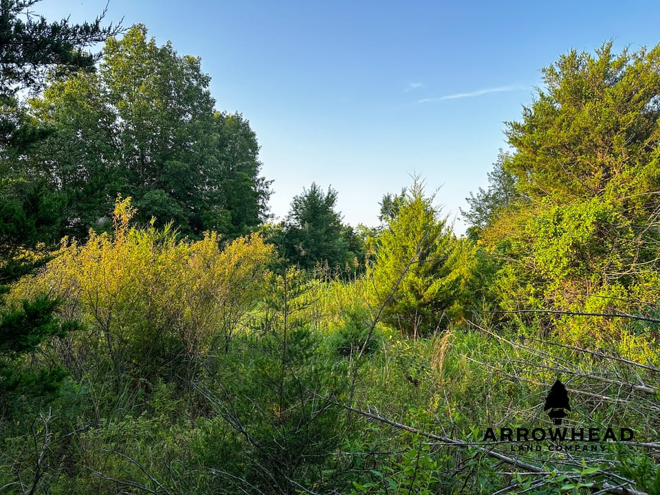 Keystone Lake Hunting Farm