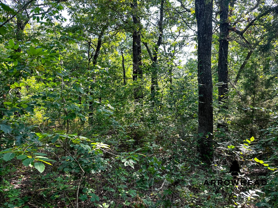 Keystone Lake Hunting Farm