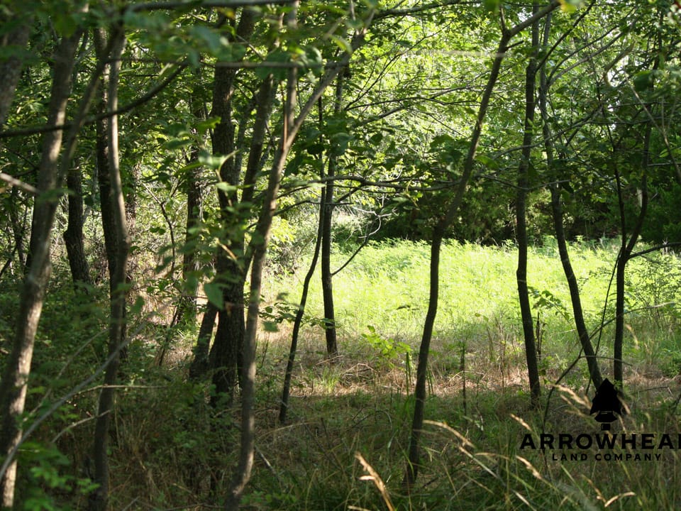 Keystone Lake Hunting Farm