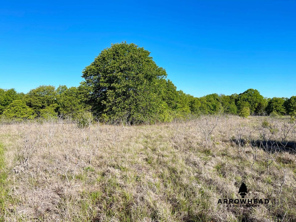 Prairie Fire Ranch